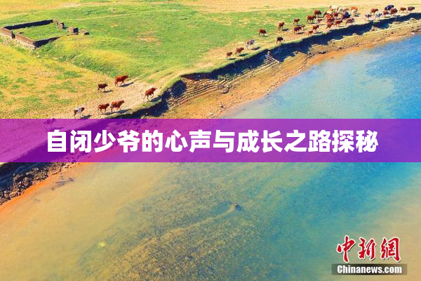自闭少爷的心声与成长之路探秘