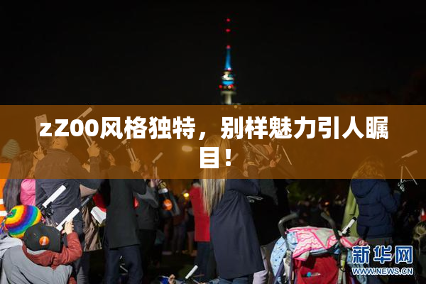 zZ00风格独特，别样魅力引人瞩目！