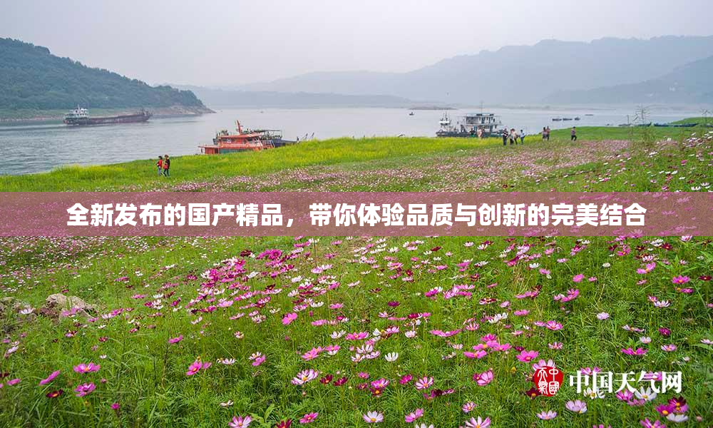全新发布的国产精品，带你体验品质与创新的完美结合