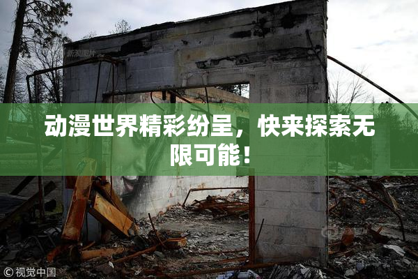 动漫世界精彩纷呈，快来探索无限可能！
