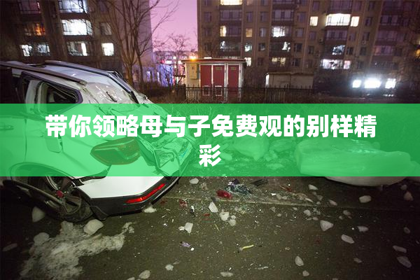 带你领略母与子免费观的别样精彩