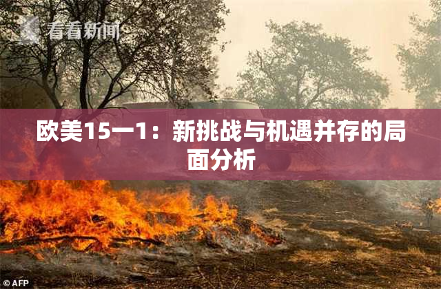 欧美15一1：新挑战与机遇并存的局面分析