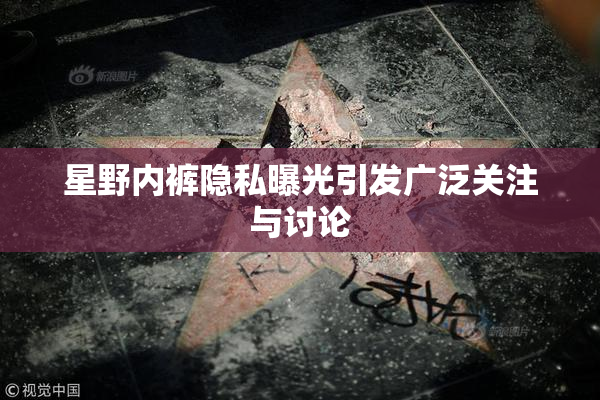 星野内裤隐私曝光引发广泛关注与讨论