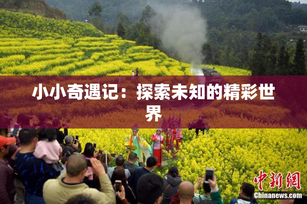 小小奇遇记：探索未知的精彩世界