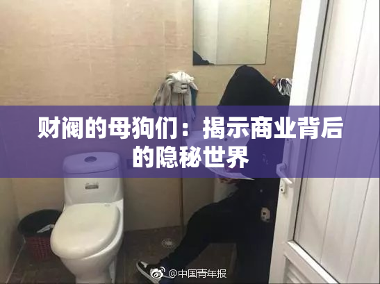 财阀的母狗们：揭示商业背后的隐秘世界