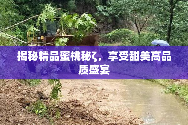 揭秘精品蜜桃秘ζ，享受甜美高品质盛宴
