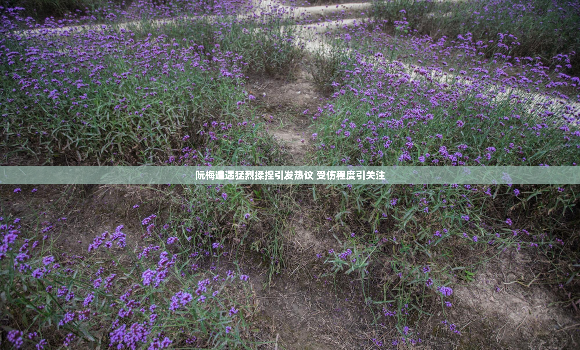 阮梅遭遇猛烈揉捏引发热议 受伤程度引关注