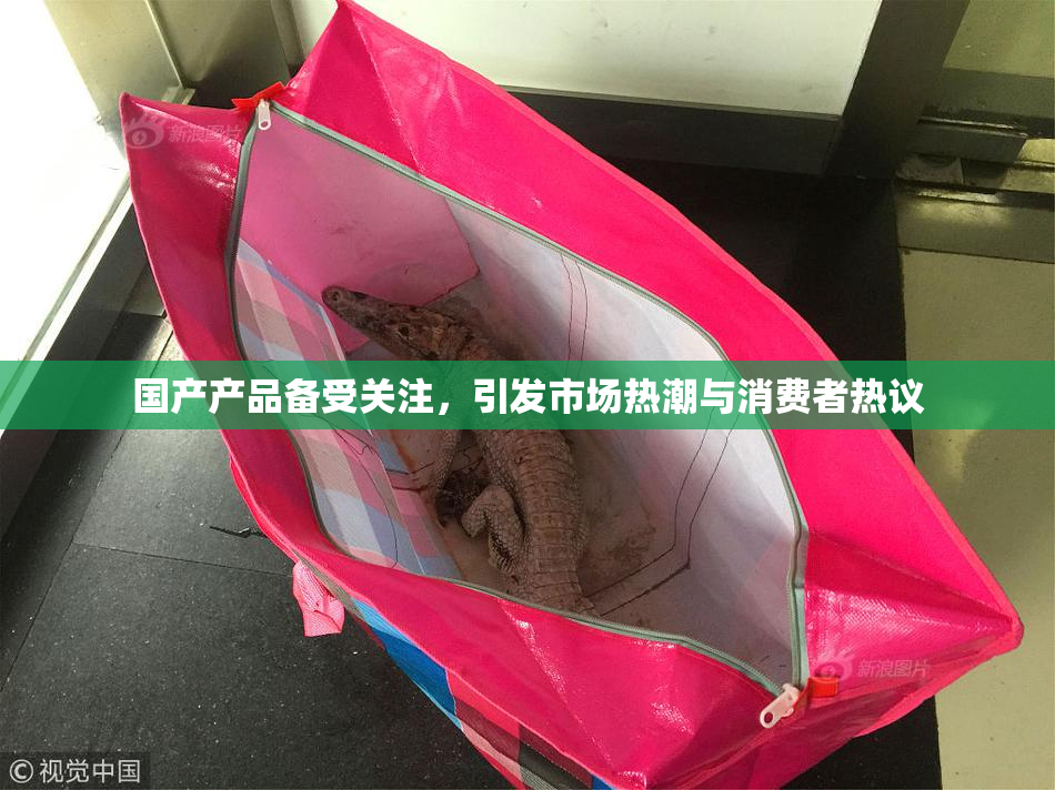 国产产品备受关注，引发市场热潮与消费者热议