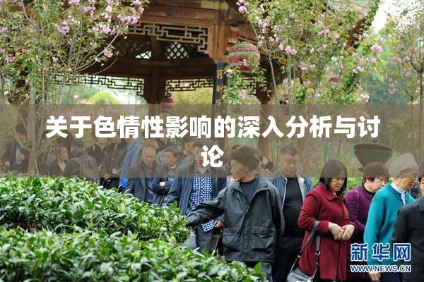 关于色情性影响的深入分析与讨论