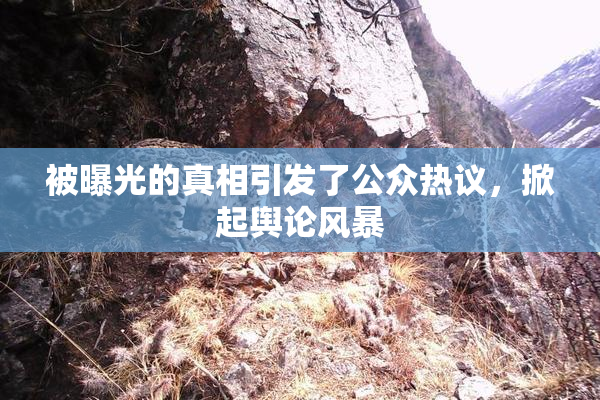 被曝光的真相引发了公众热议，掀起舆论风暴