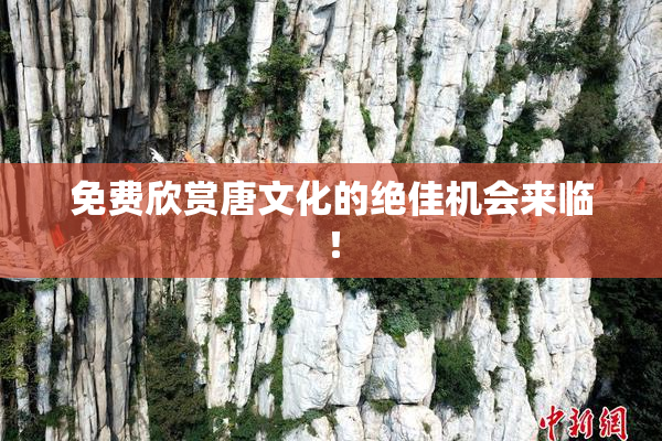 免费欣赏唐文化的绝佳机会来临！