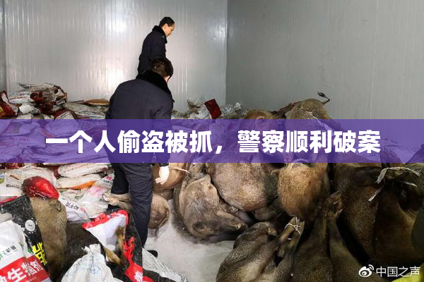 一个人偷盗被抓，警察顺利破案