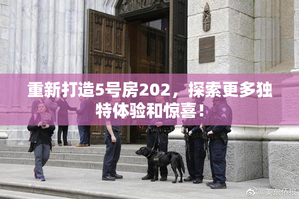 重新打造5号房202，探索更多独特体验和惊喜！