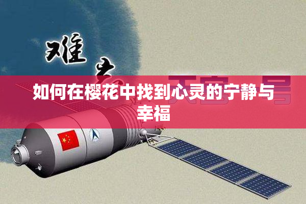 如何在樱花中找到心灵的宁静与幸福