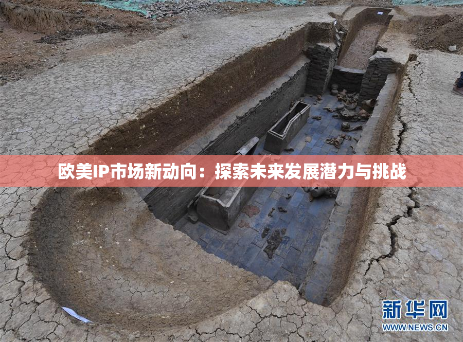 欧美IP市场新动向：探索未来发展潜力与挑战