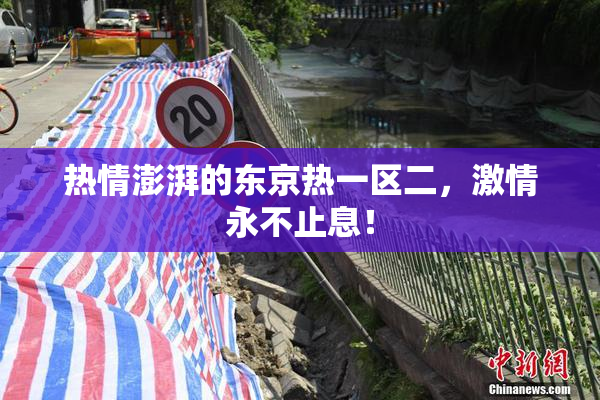 热情澎湃的东京热一区二，激情永不止息！