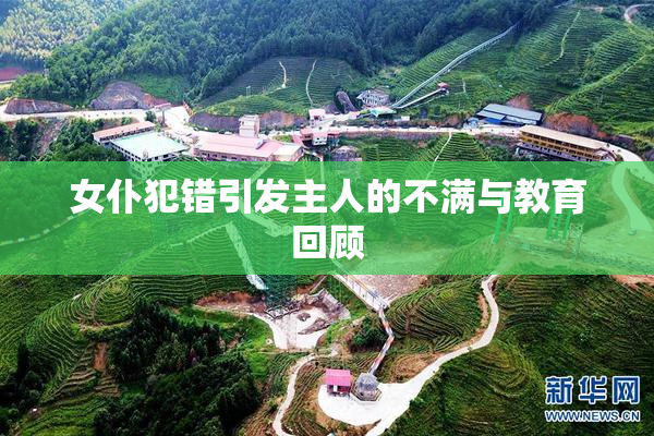 女仆犯错引发主人的不满与教育回顾