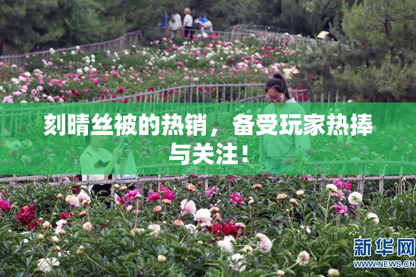 刻晴丝被的热销，备受玩家热捧与关注！