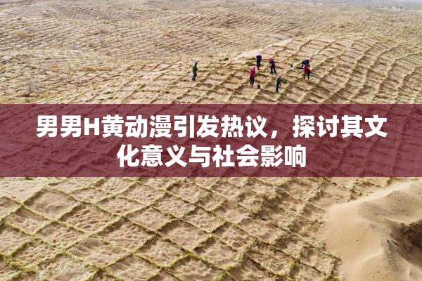 男男H黄动漫引发热议，探讨其文化意义与社会影响