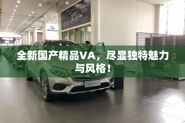 全新国产精品VA，尽显独特魅力与风格！