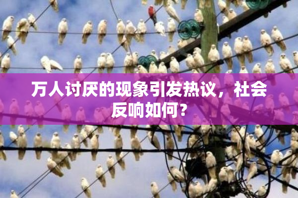 万人讨厌的现象引发热议，社会反响如何？