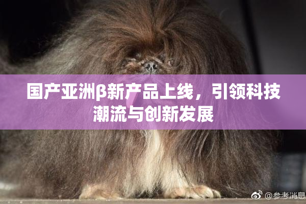 国产亚洲β新产品上线，引领科技潮流与创新发展