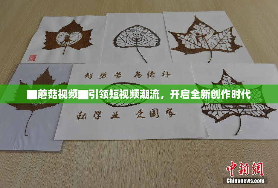 ▇蘑菇视频▇引领短视频潮流，开启全新创作时代