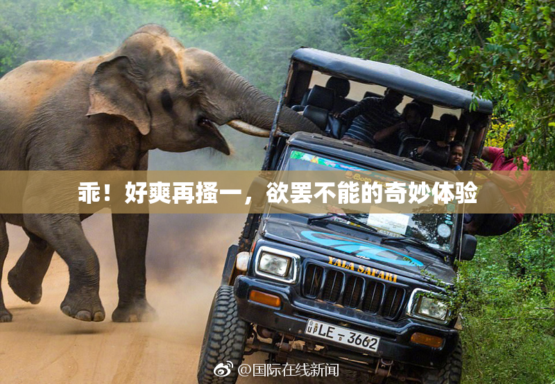 乖！好爽再搔一，欲罢不能的奇妙体验