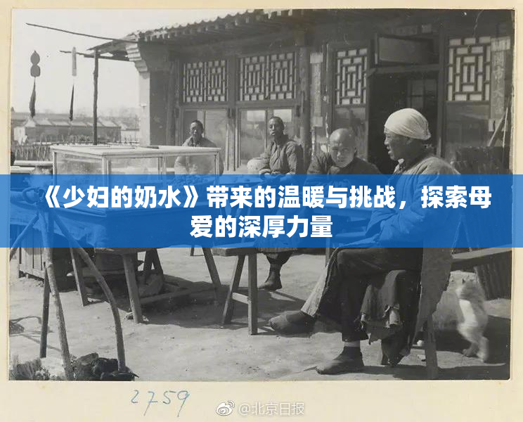 《少妇的奶水》带来的温暖与挑战，探索母爱的深厚力量