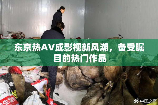 东京热AV成影视新风潮，备受瞩目的热门作品