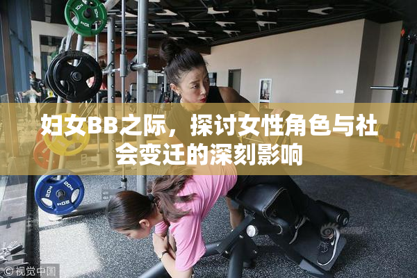 妇女BB之际，探讨女性角色与社会变迁的深刻影响
