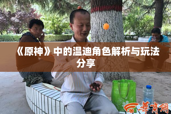 《原神》中的温迪角色解析与玩法分享