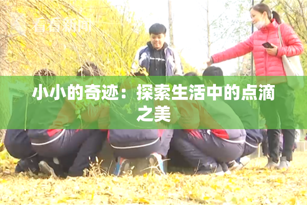 小小的奇迹：探索生活中的点滴之美