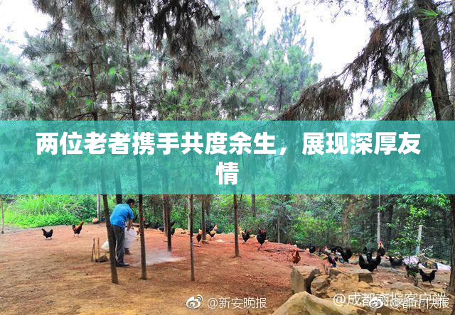 两位老者携手共度余生，展现深厚友情