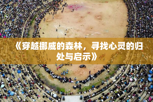 《穿越挪威的森林，寻找心灵的归处与启示》