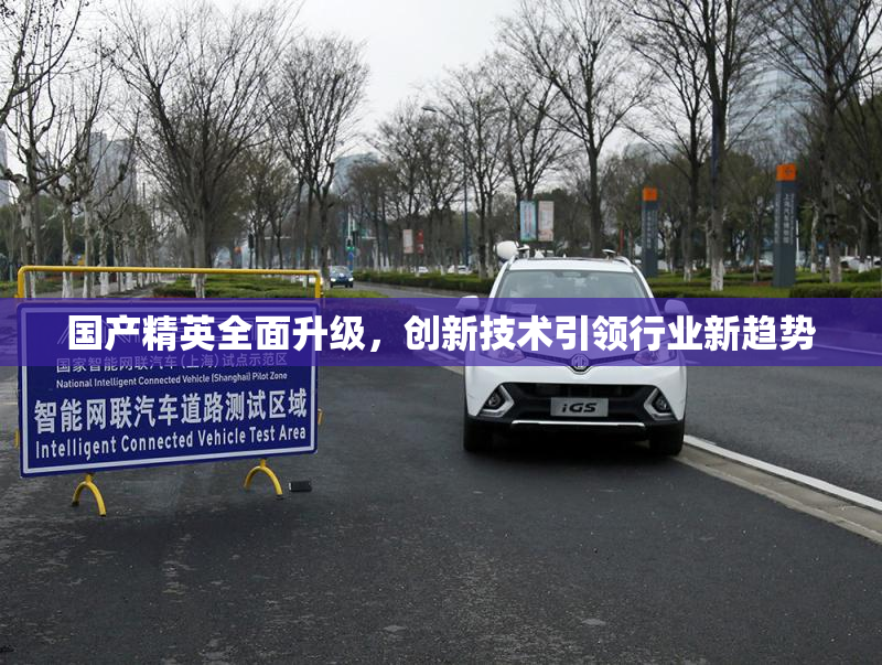 国产精英全面升级，创新技术引领行业新趋势