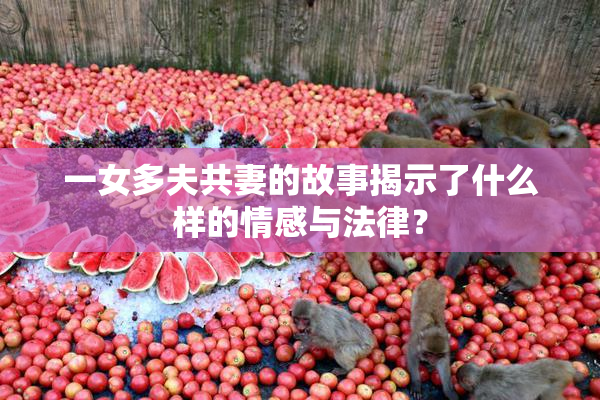 一女多夫共妻的故事揭示了什么样的情感与法律？