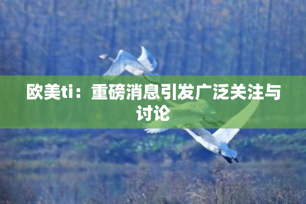 欧美ti：重磅消息引发广泛关注与讨论