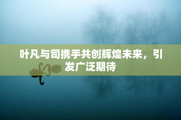 叶凡与司携手共创辉煌未来，引发广泛期待