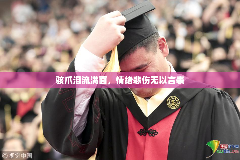 骇爪泪流满面，情绪悲伤无以言表