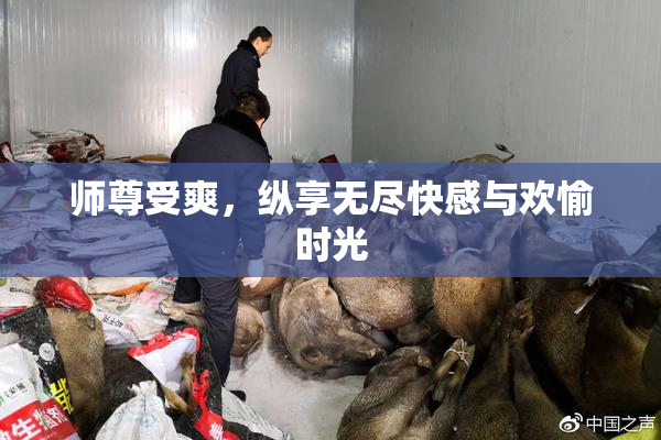 师尊受爽，纵享无尽快感与欢愉时光
