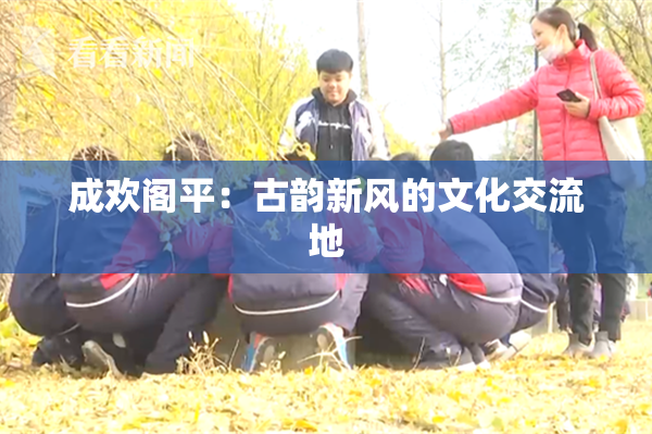 成欢阁平：古韵新风的文化交流地
