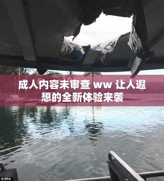 成人内容未审查 ww 让人遐想的全新体验来袭