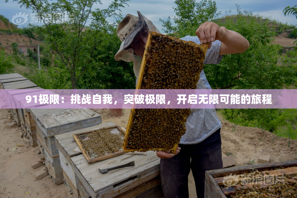 91极限：挑战自我，突破极限，开启无限可能的旅程