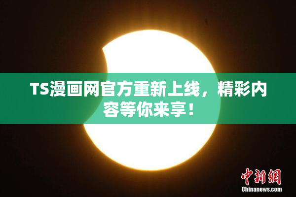 TS漫画网官方重新上线，精彩内容等你来享！