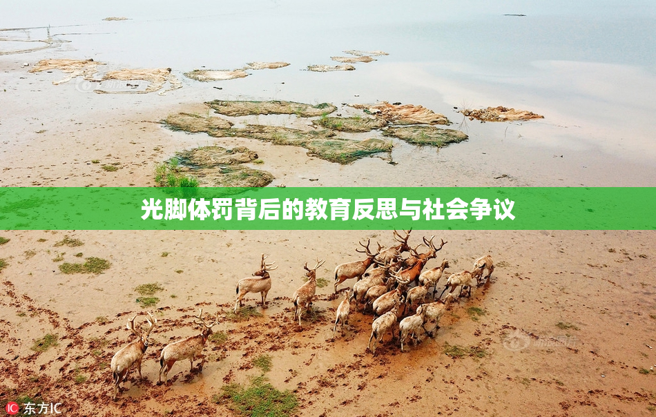 光脚体罚背后的教育反思与社会争议
