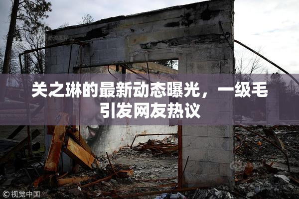关之琳的最新动态曝光，一级毛引发网友热议