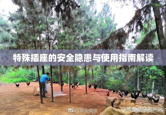 特殊插座的安全隐患与使用指南解读
