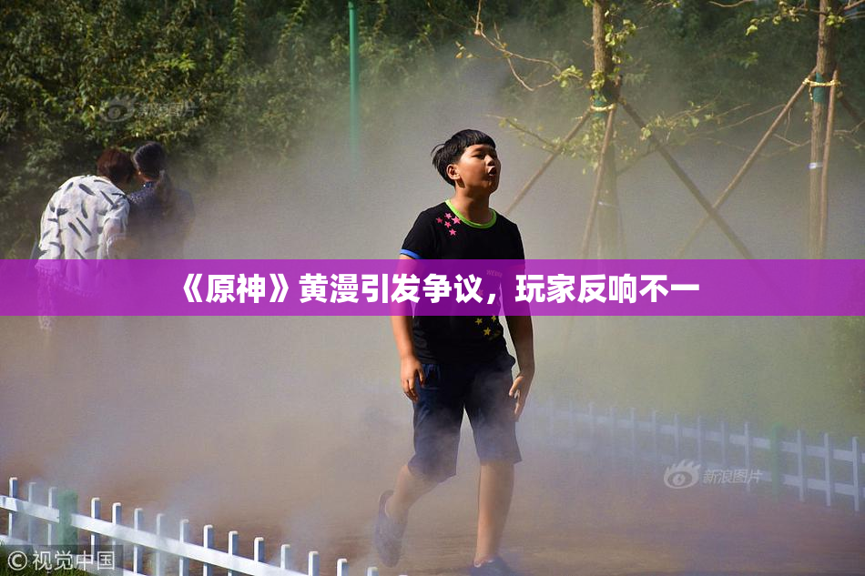 《原神》黄漫引发争议，玩家反响不一