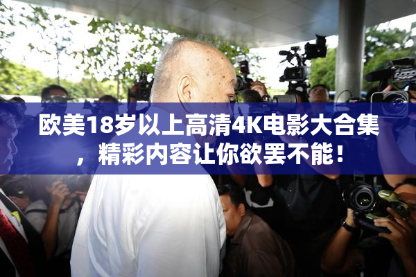 欧美18岁以上高清4K电影大合集，精彩内容让你欲罢不能！